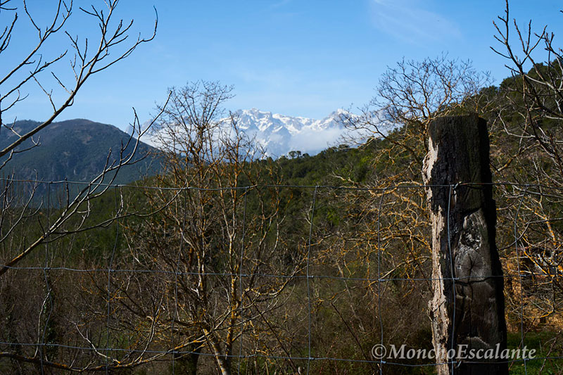 Picos de Europa