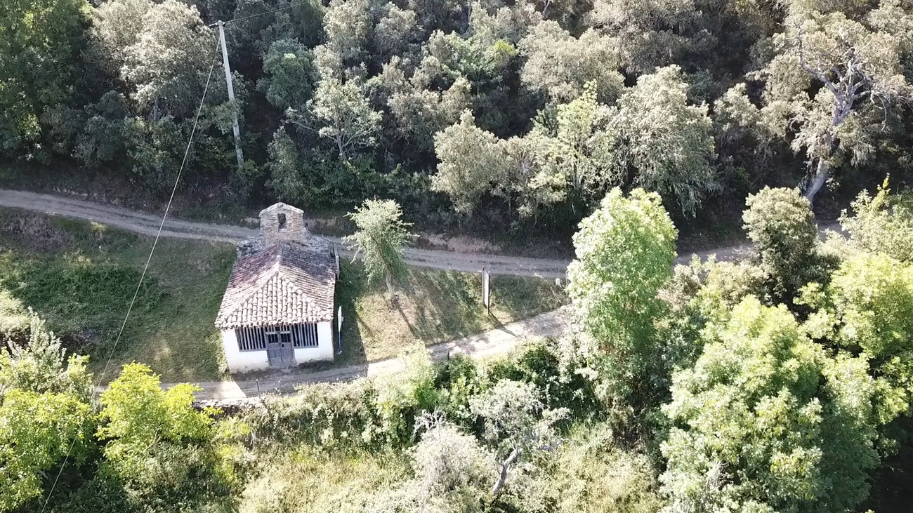 Porcieda aerial